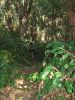 Berry Flat Trail